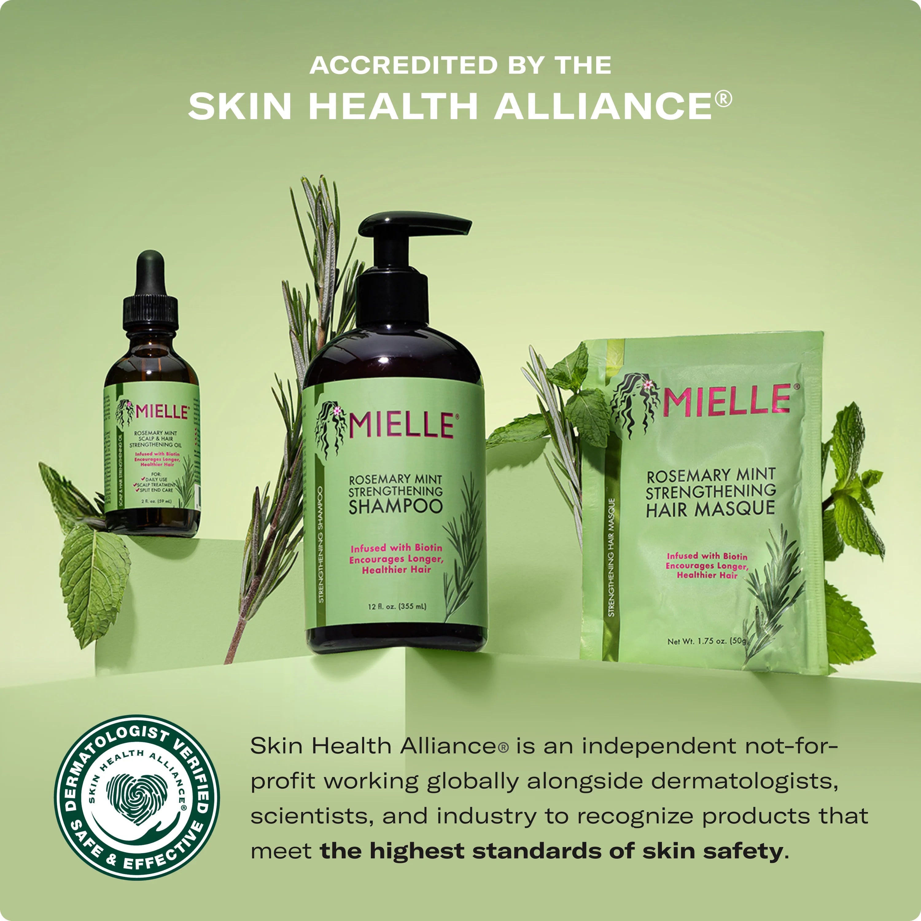 Mielle Rosemary Mint Hair Care Collection – Accredited by the Skin Health Alliance, Dermatologist Verified